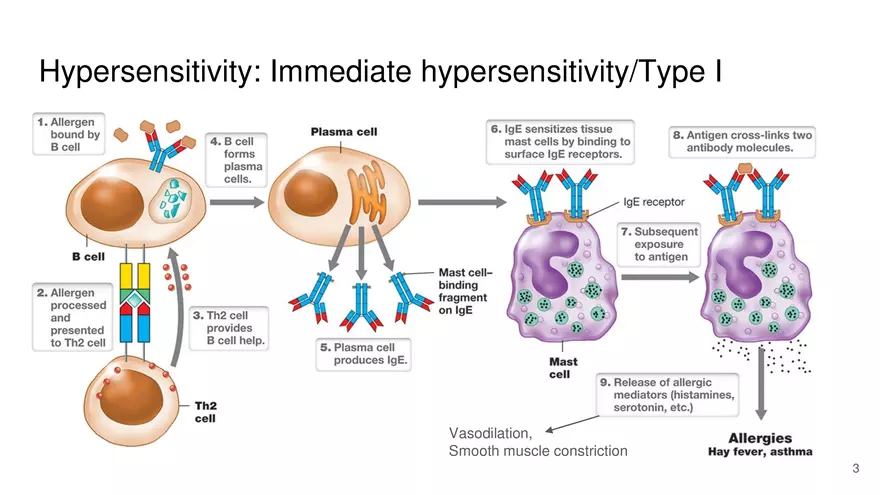 Immune Disorders and Antimicrobial Therapy - Page 3