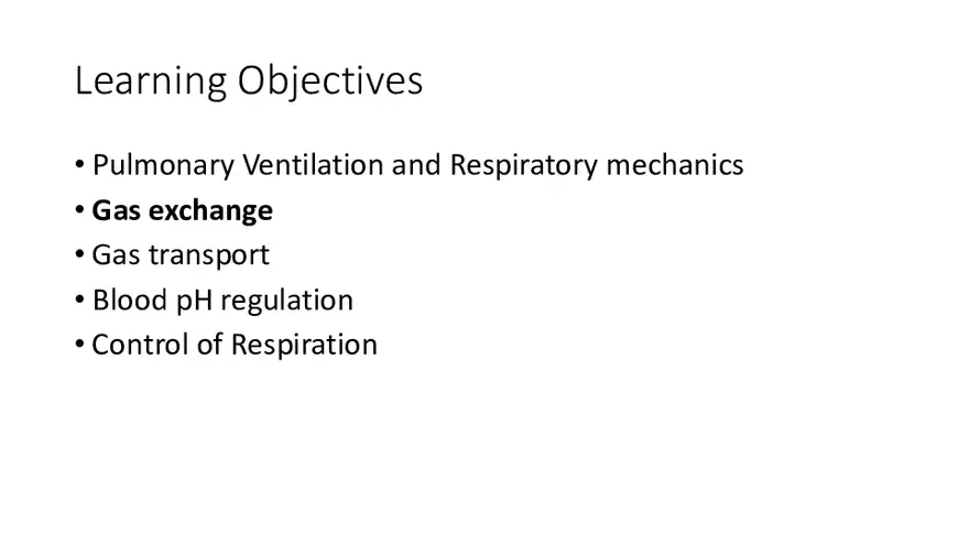 Respiratory System L3 - Page 2