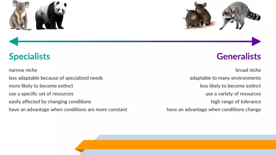 Specialist vs. Generalist Species - Page 3