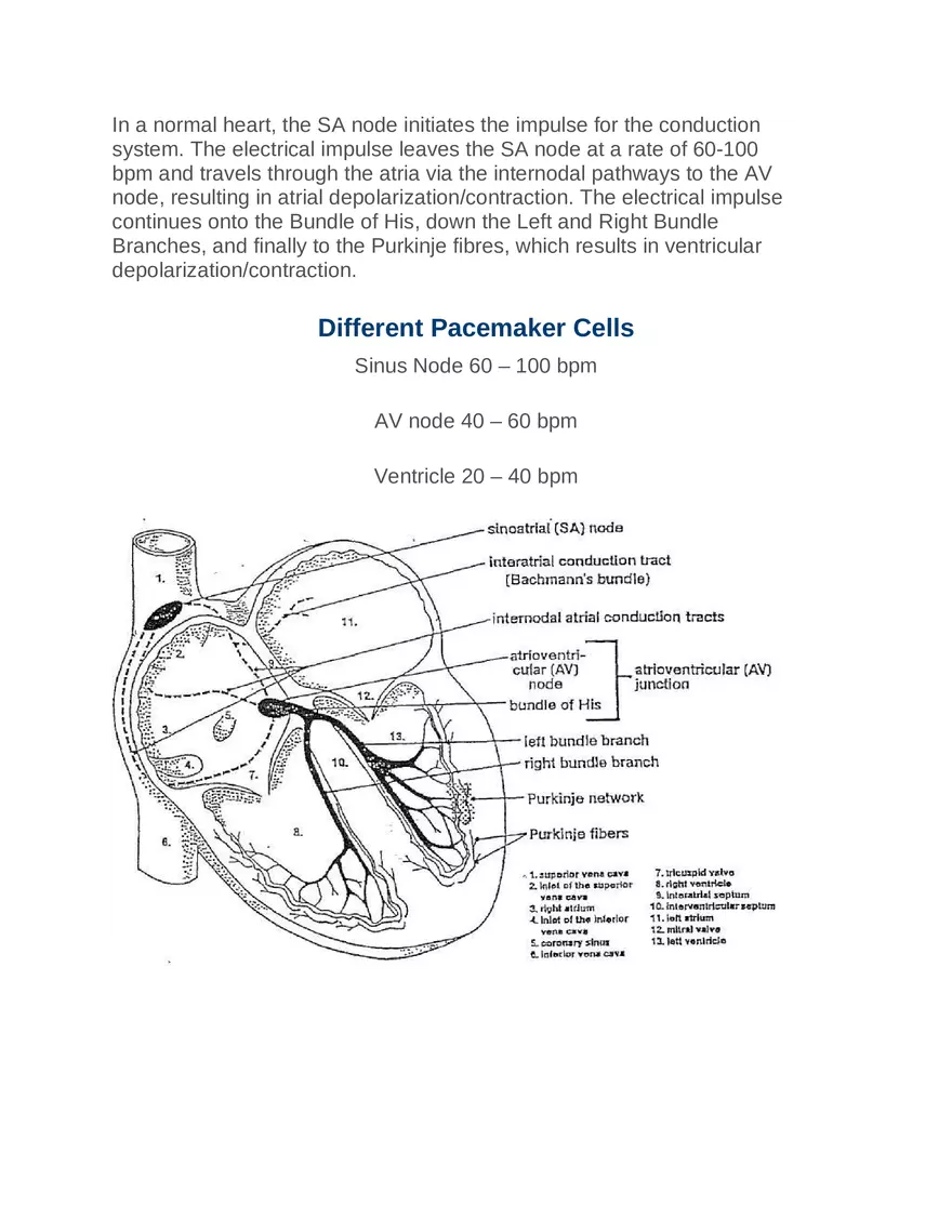 Intro to Cardiology Module 1 Guide Part 5 - Page 10