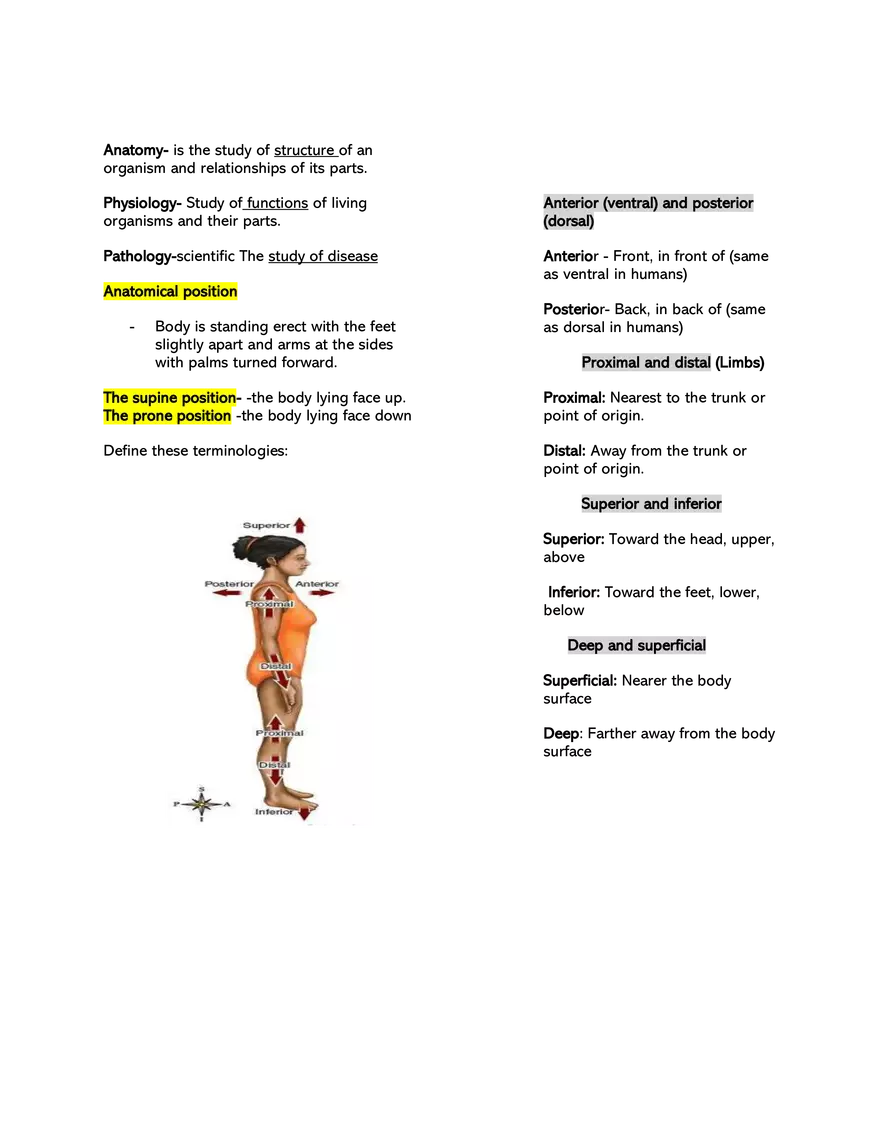 Basic Anatomical Terminologies and Positions - Page 1