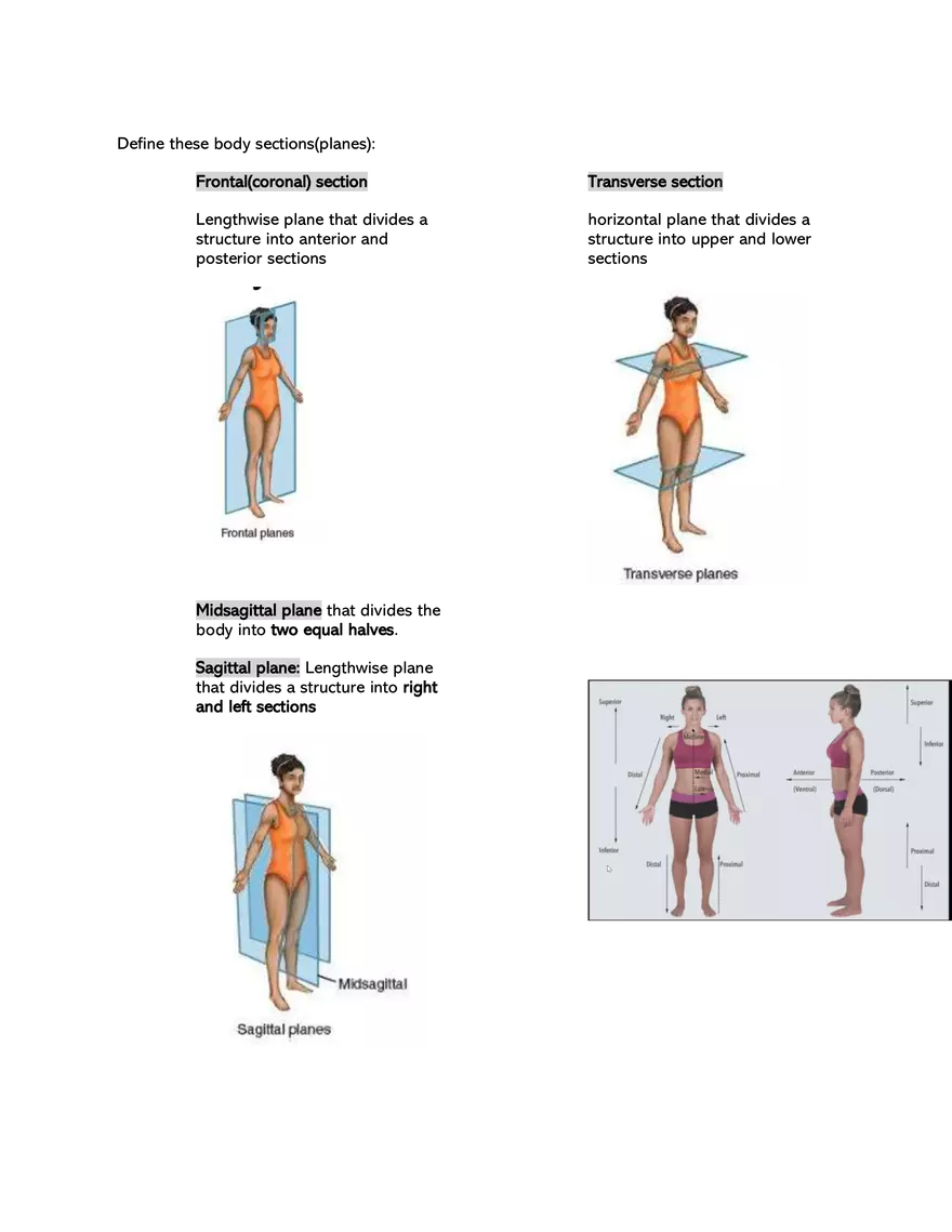 Basic Anatomical Terminologies and Positions - Page 2