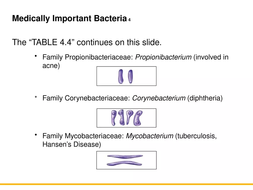 A Survey of Prokaryotic Cells and Microorganisms Lecture 9 - Page 7