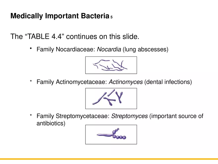 A Survey of Prokaryotic Cells and Microorganisms Lecture 9 - Page 8