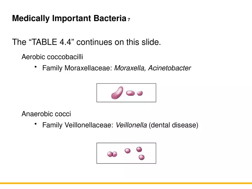 A Survey of Prokaryotic Cells and Microorganisms Lecture 9 - Page 10