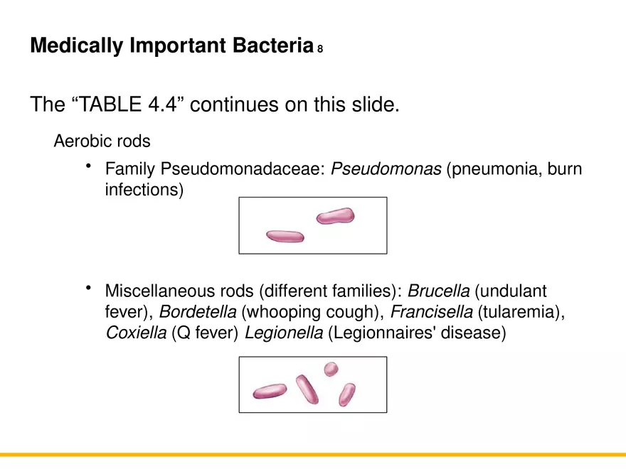 A Survey of Prokaryotic Cells and Microorganisms Lecture 9 - Page 11