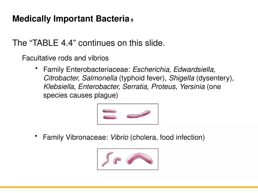 A Survey of Prokaryotic Cells and Microorganisms Lecture 9 - Page 12