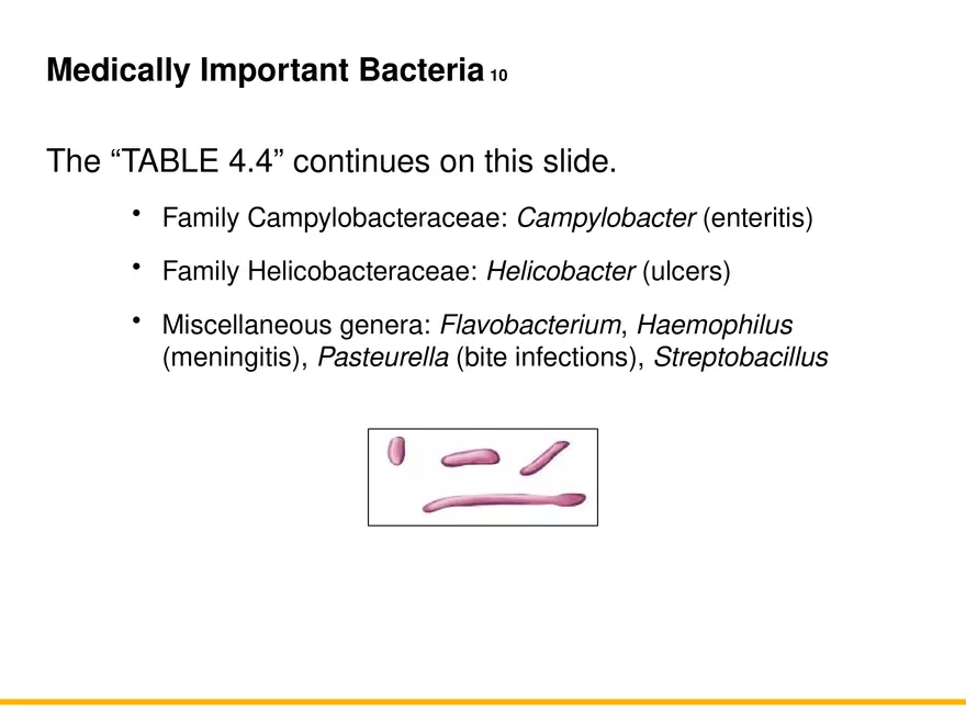 A Survey of Prokaryotic Cells and Microorganisms Lecture 9 - Page 13