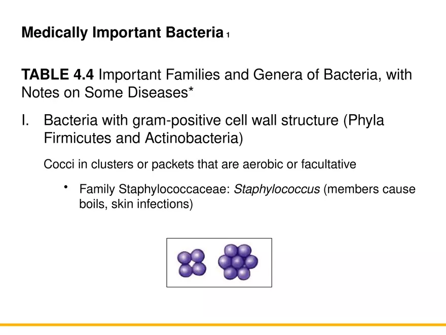 A Survey of Prokaryotic Cells and Microorganisms Lecture 9 - Page 1