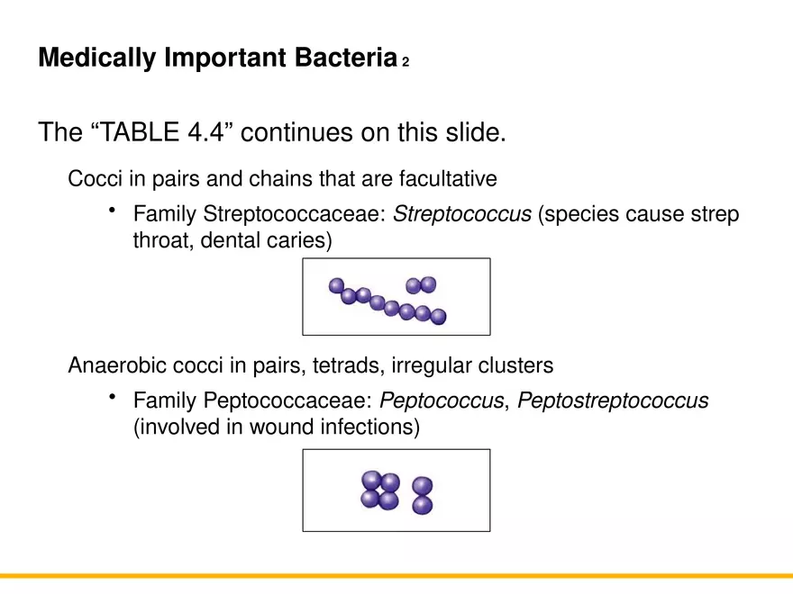 A Survey of Prokaryotic Cells and Microorganisms Lecture 9 - Page 2