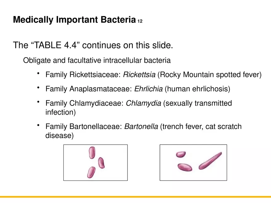 A Survey of Prokaryotic Cells and Microorganisms Lecture 9 - Page 4