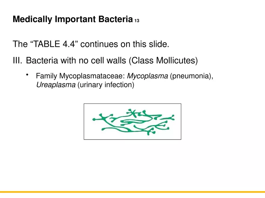A Survey of Prokaryotic Cells and Microorganisms Lecture 9 - Page 5