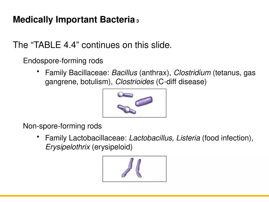 A Survey of Prokaryotic Cells and Microorganisms Lecture 9 - Page 6