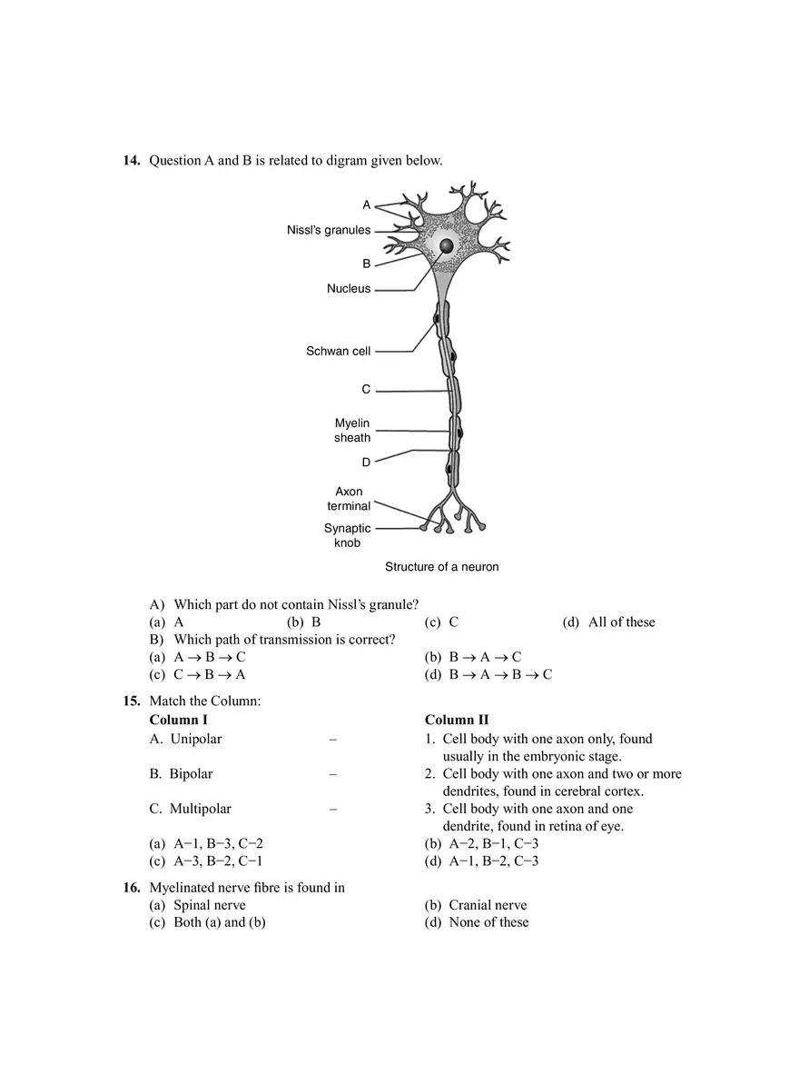 Neural Control and Co-ordination - Page 3