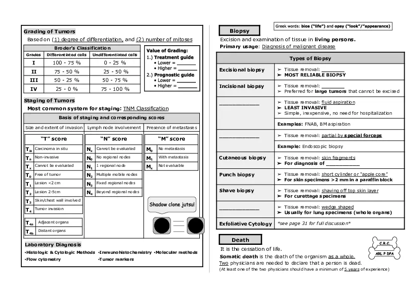 Basic Histology Part 1 - Page 8
