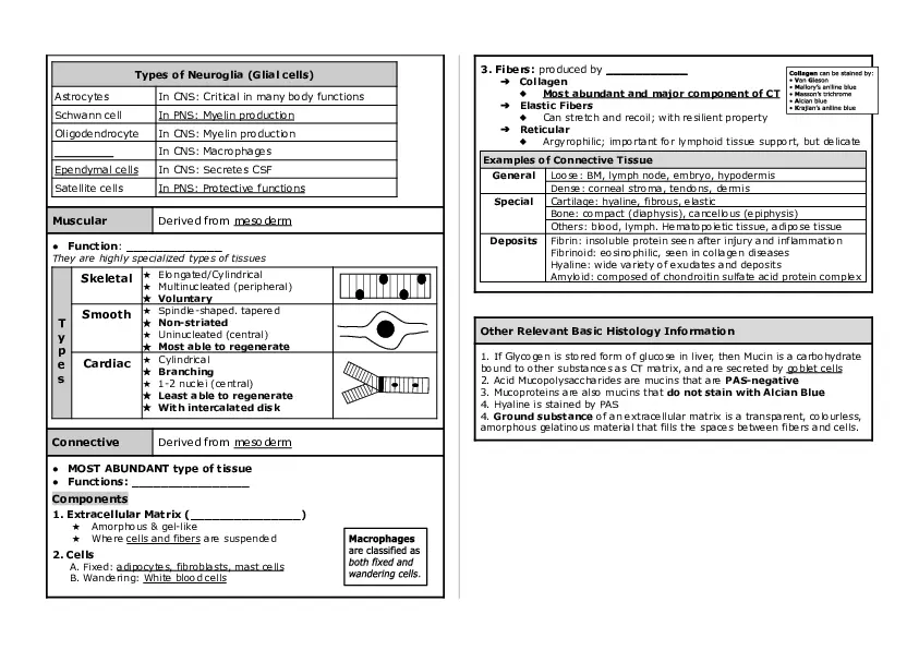 Basic Histology Part 1 - Page 2
