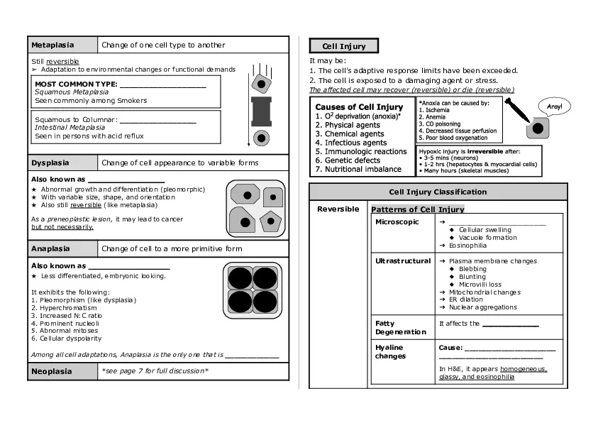 Basic Histology Part 1 - Page 4