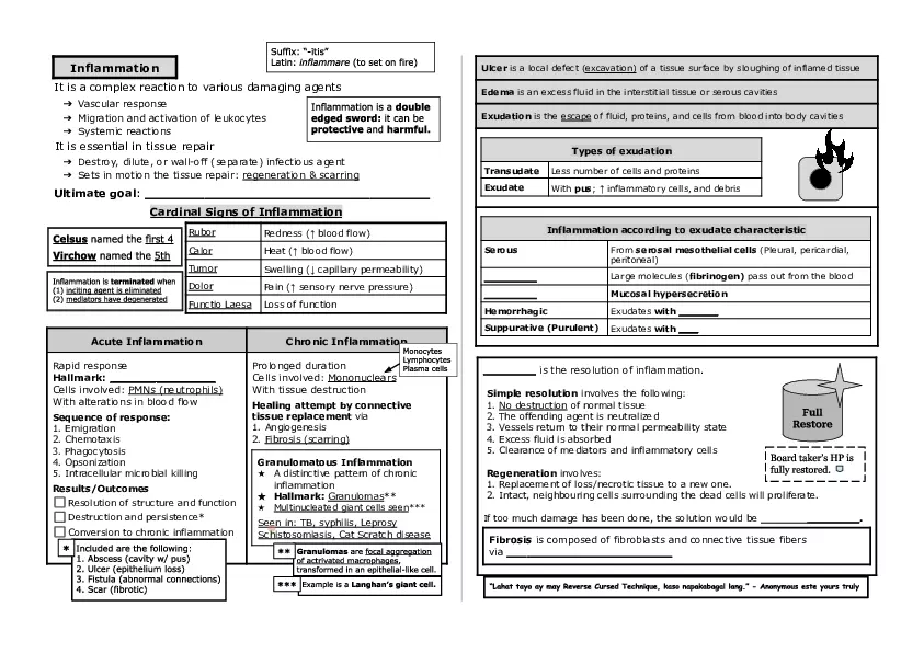 Basic Histology Part 1 - Page 6