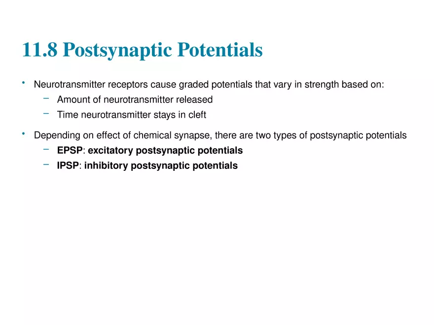 Fundamentals of the Nervous System and Nervous Tissue Lectrure 11 - Page 2
