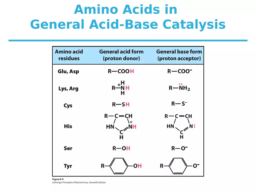 Principles of Biochemistry - Enzymes Lecture 2 - Page 8