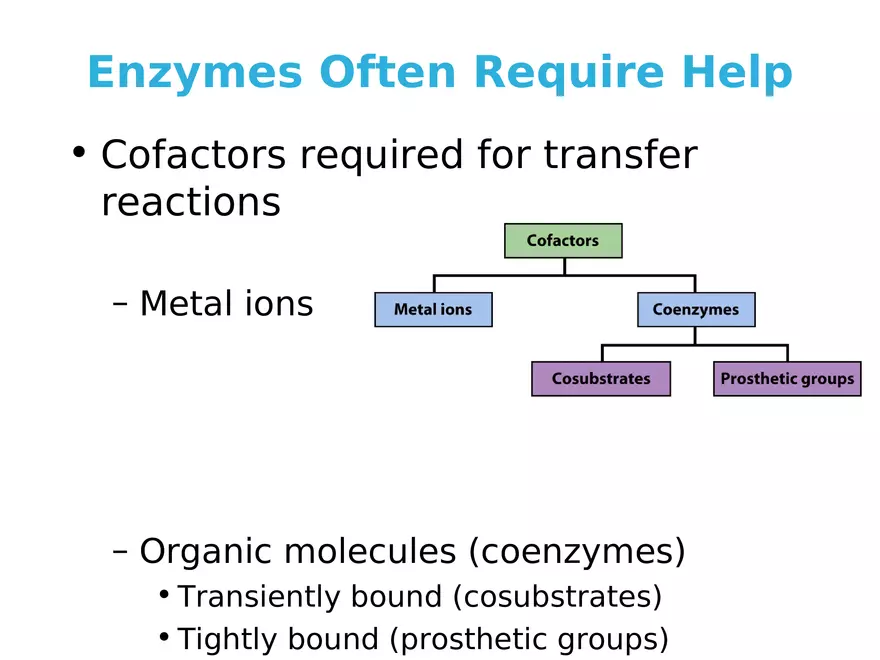 Principles of Biochemistry - Enzymes Lecture 2 - Page 1