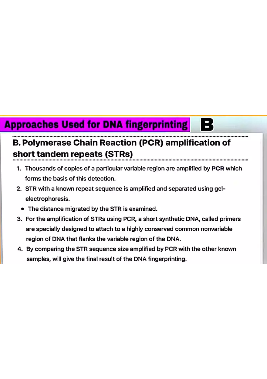DNA Fingerprinting Study Guide - Page 11