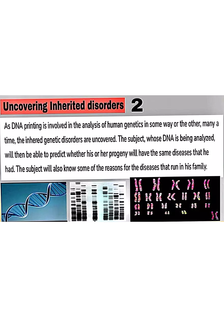 DNA Fingerprinting Study Guide - Page 15