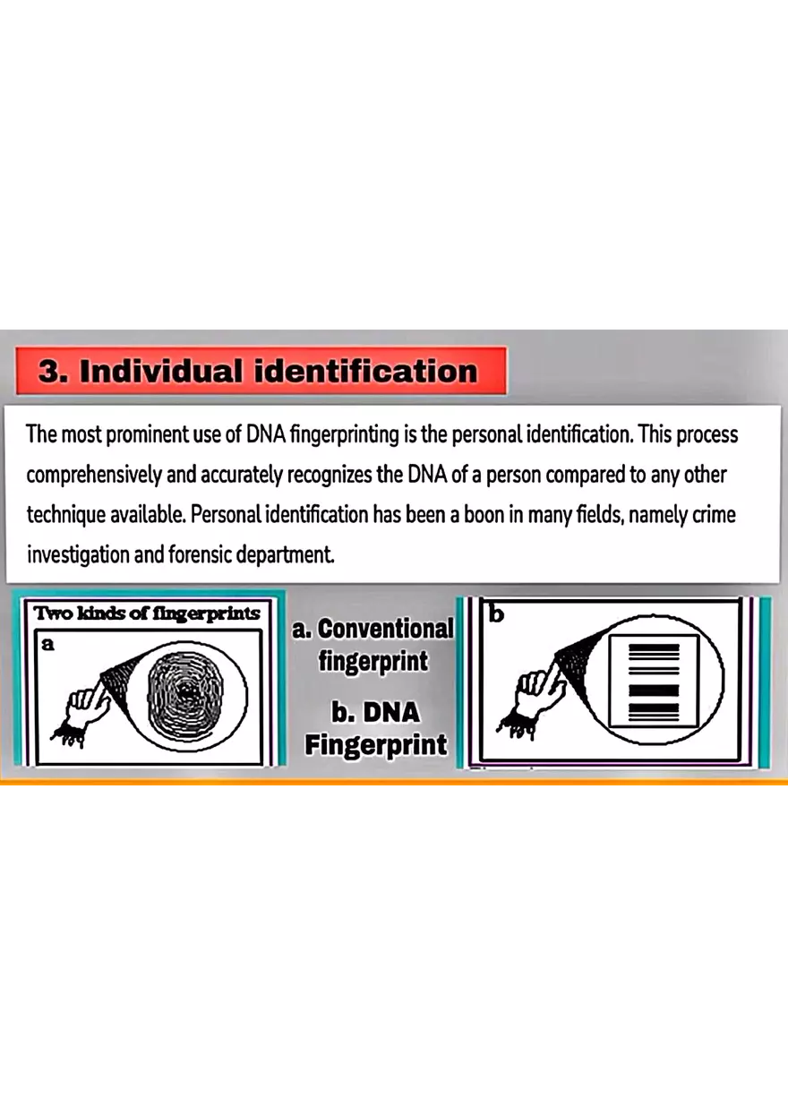 DNA Fingerprinting Study Guide - Page 16