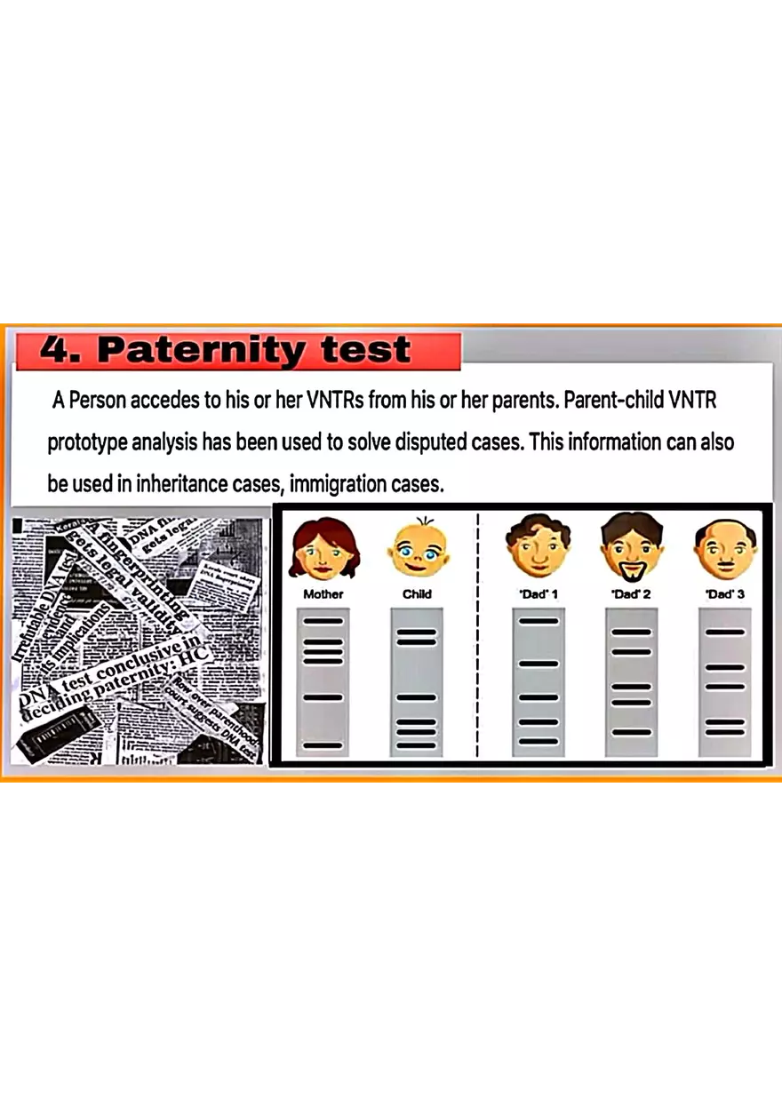 DNA Fingerprinting Study Guide - Page 17