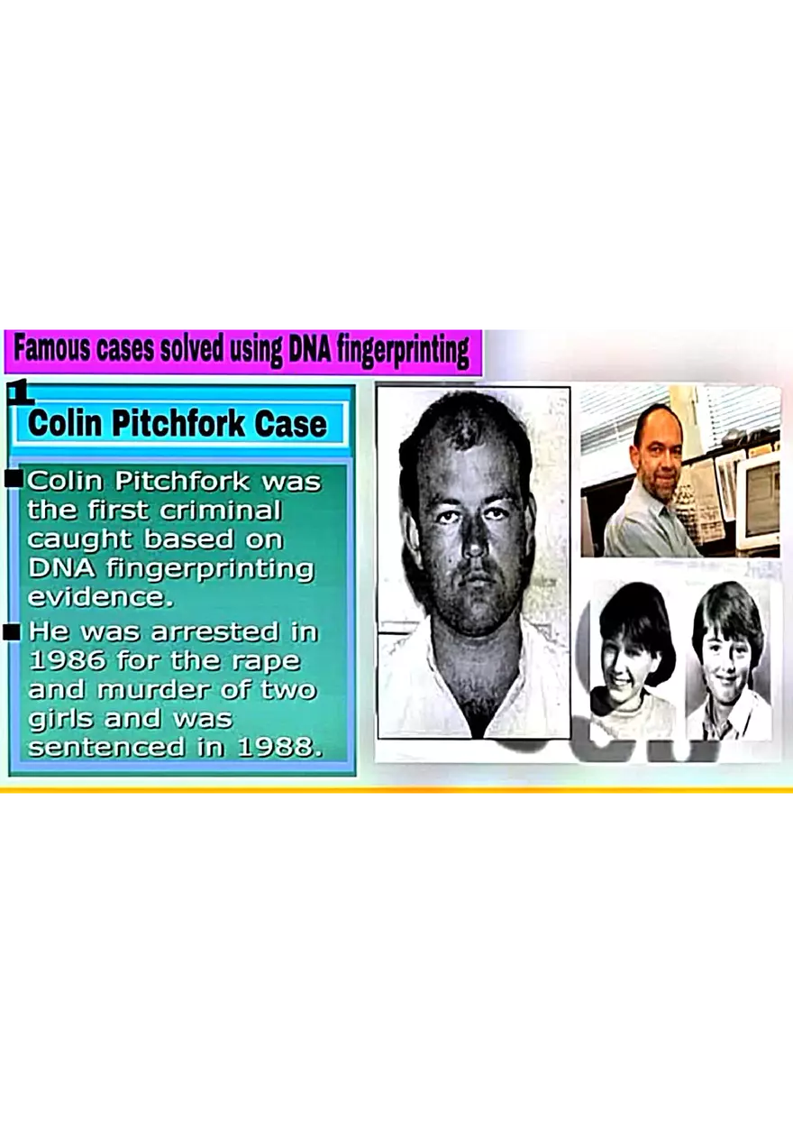 DNA Fingerprinting Study Guide - Page 18