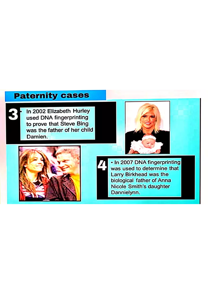 DNA Fingerprinting Study Guide - Page 20