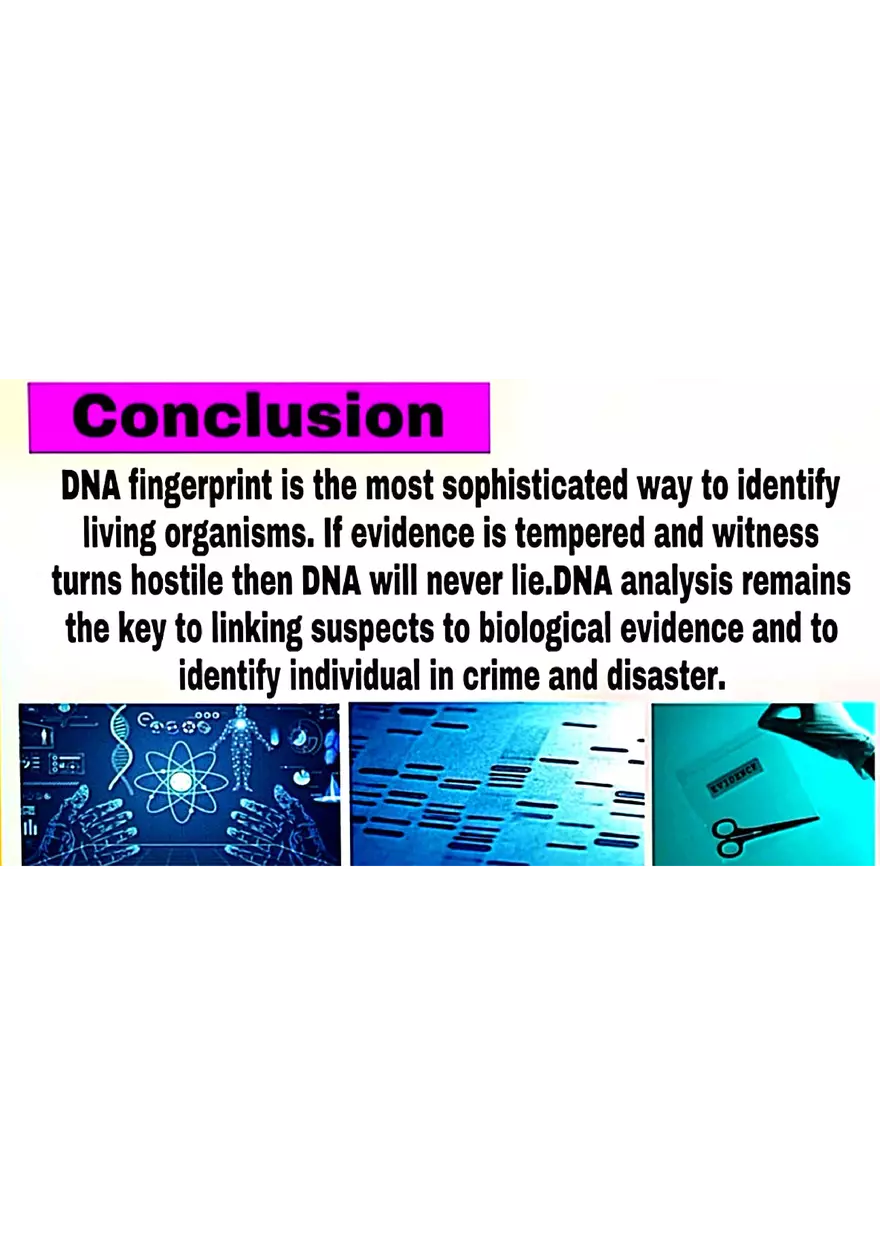 DNA Fingerprinting Study Guide - Page 22
