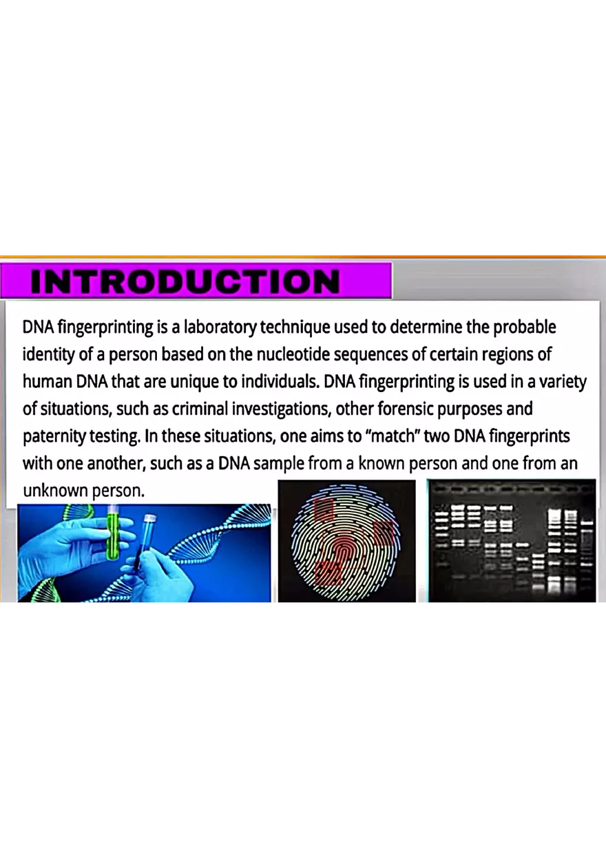 DNA Fingerprinting Study Guide - Page 24
