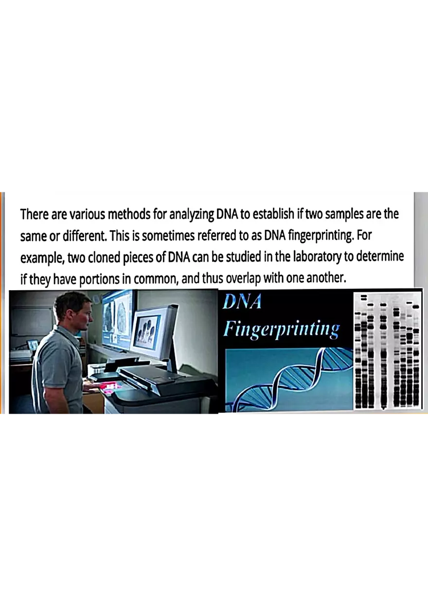 DNA Fingerprinting Study Guide - Page 25