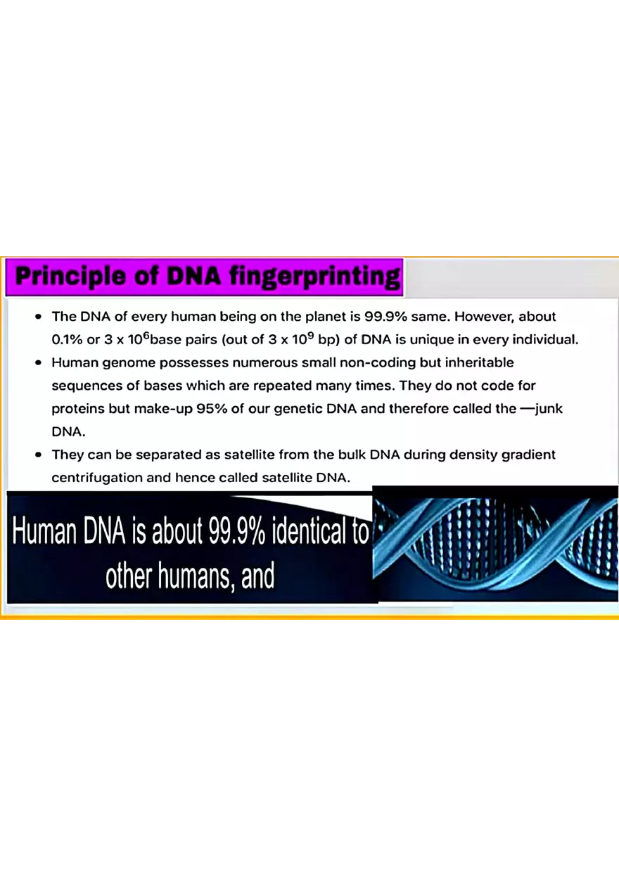 DNA Fingerprinting Study Guide - Page 29