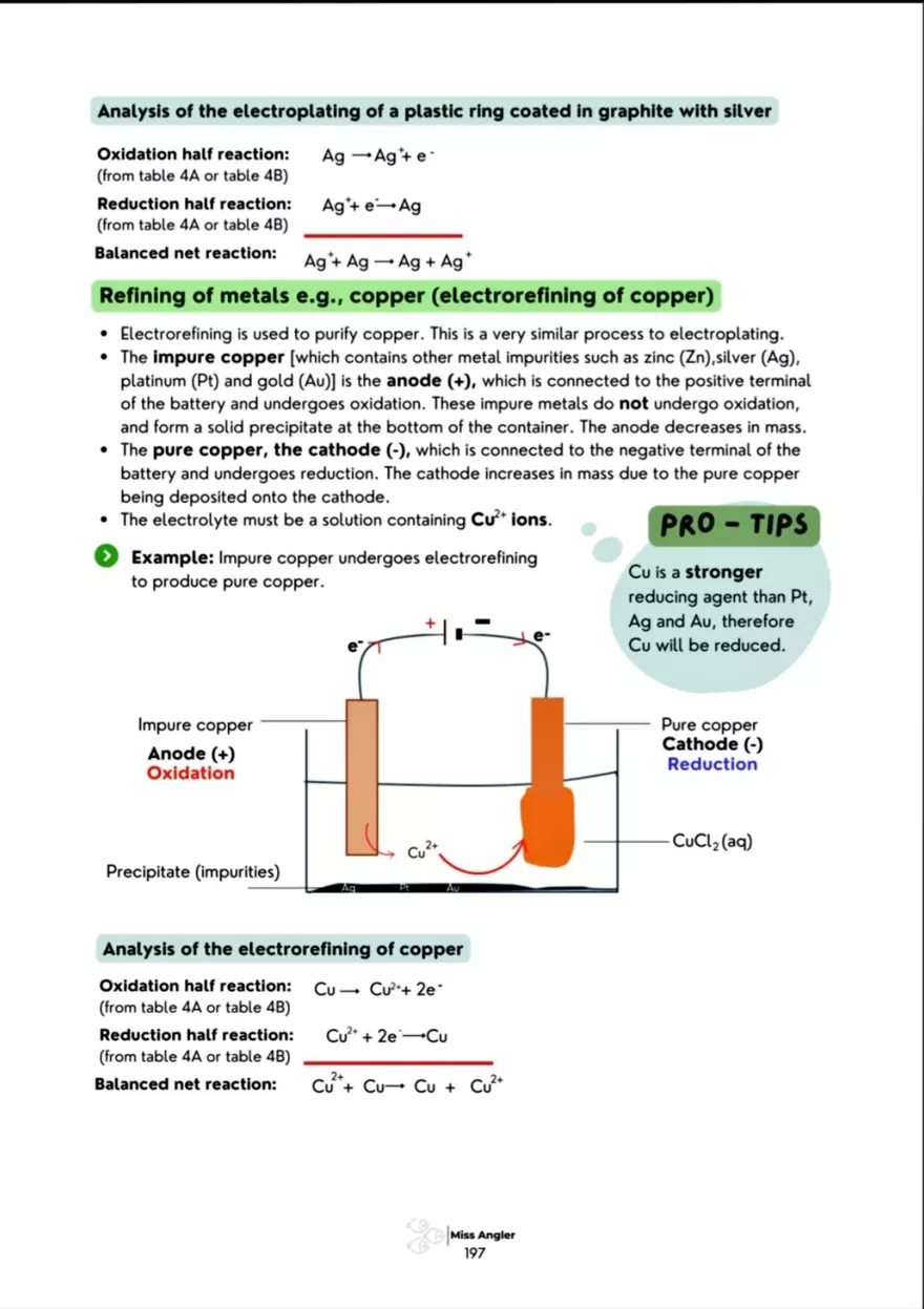 Electrochemical Cells: Galvanic Cell - Page 5