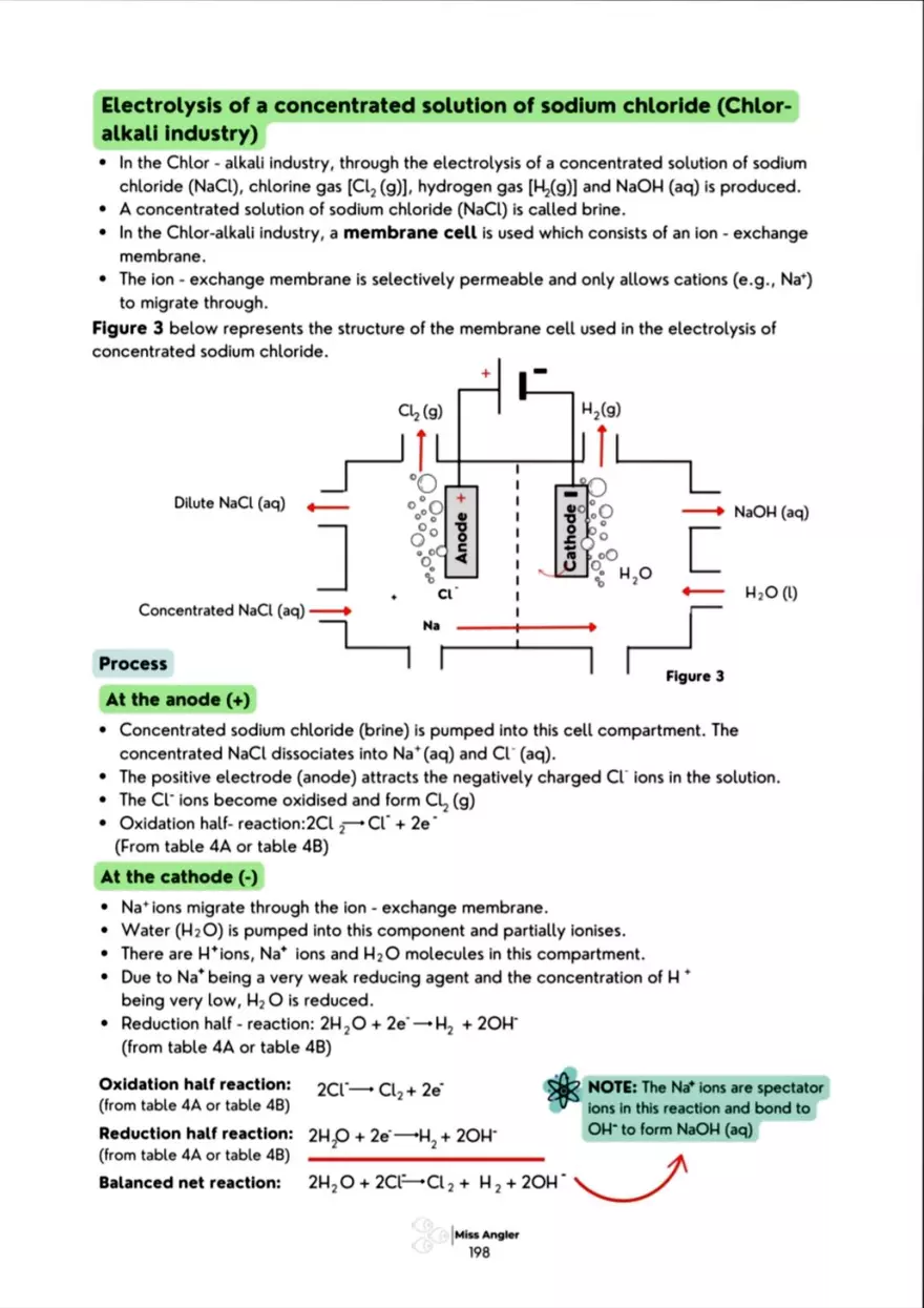Electrochemical Cells: Galvanic Cell - Page 6