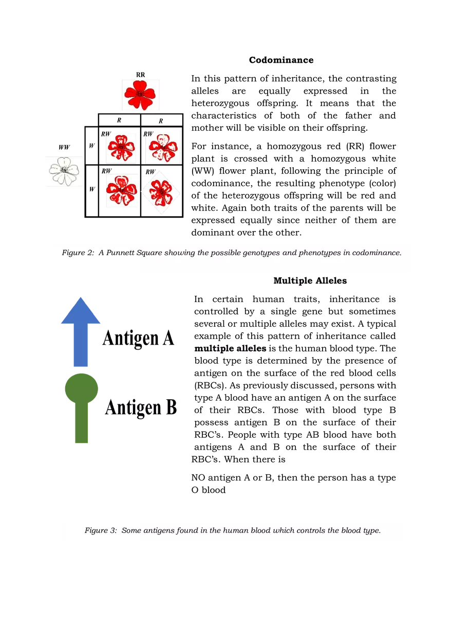 Heredity Inheritance and Variation - Page 3