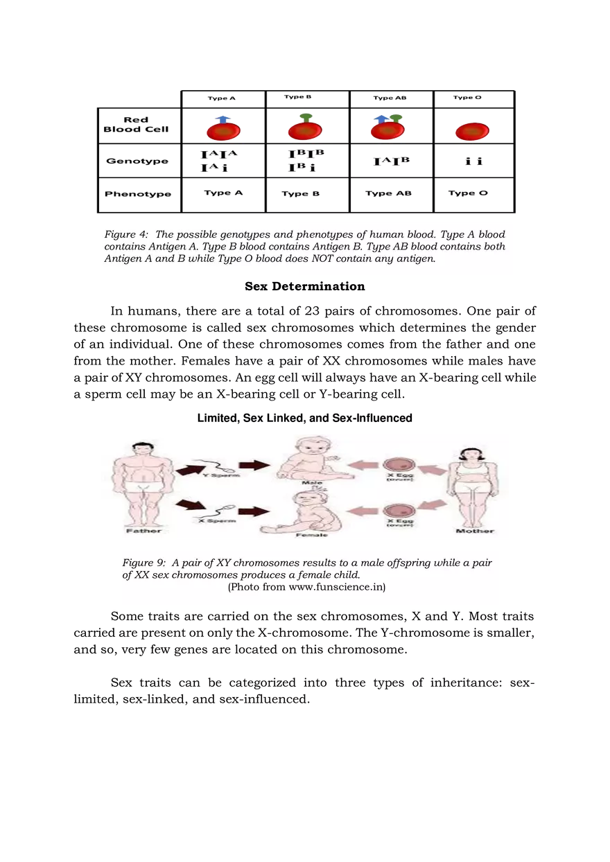 Heredity Inheritance and Variation - Page 4