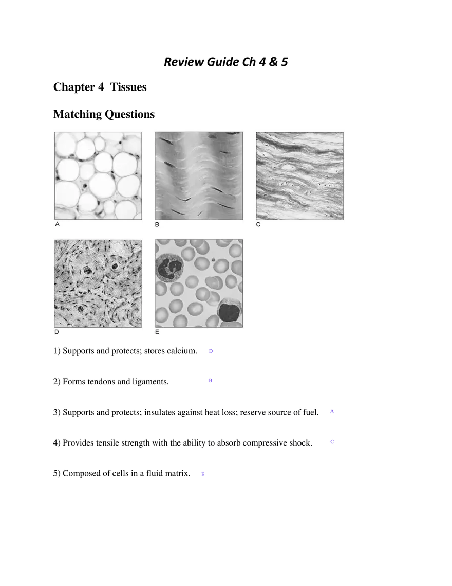 Chapter 4 Tissues - Page 1