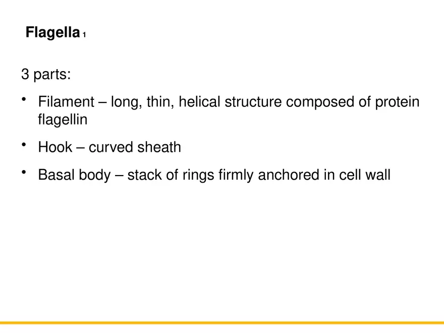 A Survey of Prokaryotic Cells and Microorganisms Lecture 1 - Page 7