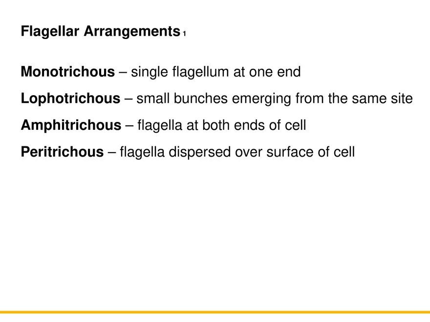 A Survey of Prokaryotic Cells and Microorganisms Lecture 1 - Page 10