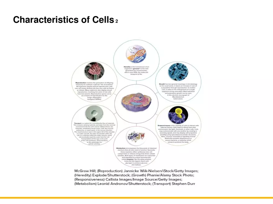 A Survey of Prokaryotic Cells and Microorganisms Lecture 1 - Page 3