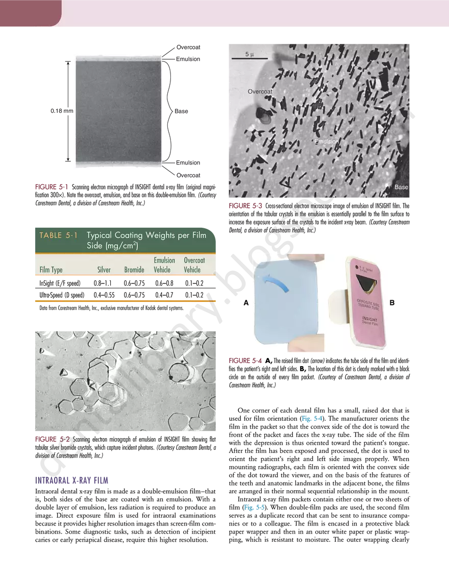 Film Imaging - Page 2