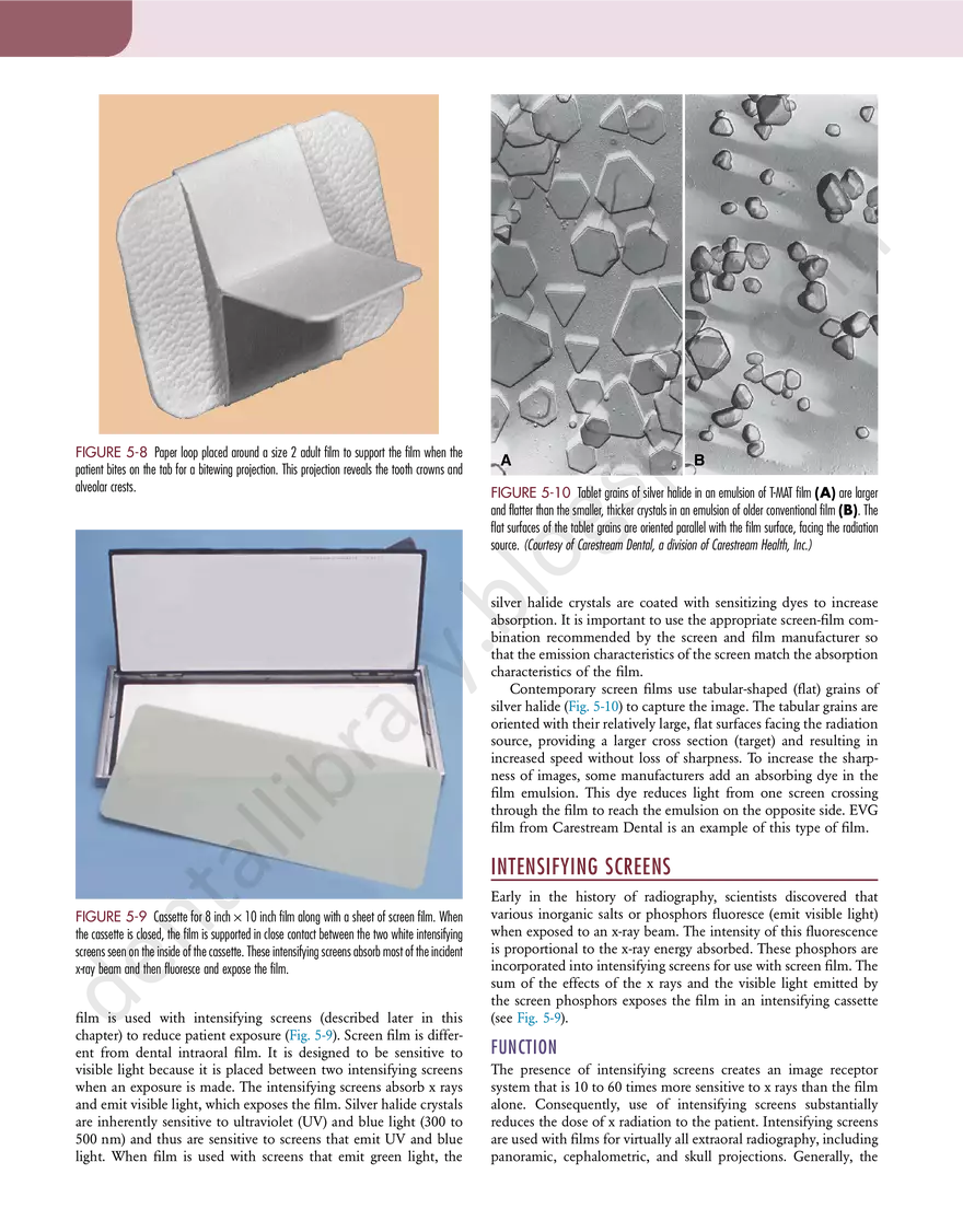 Film Imaging - Page 4