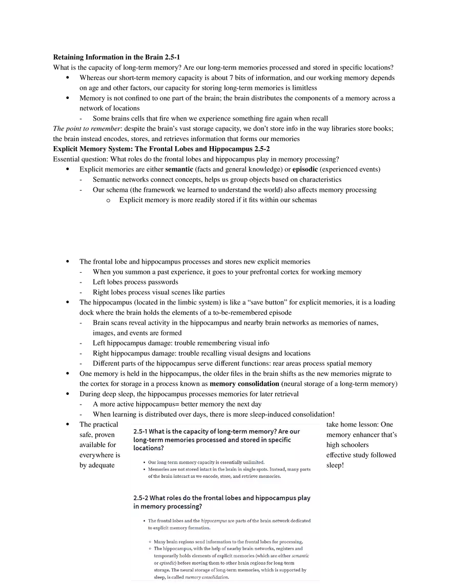 Psychology Unit 2 - Cognition (Part 2) - Page 9