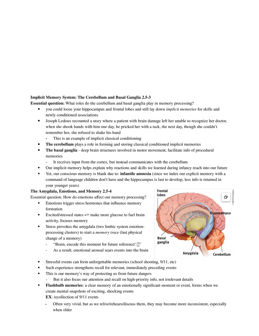 Psychology Unit 2 - Cognition (Part 2) - Page 10
