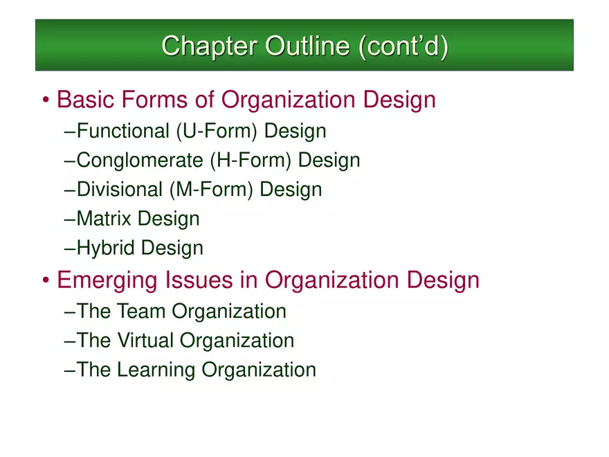Organization Structure and Design Lecture - Page 3