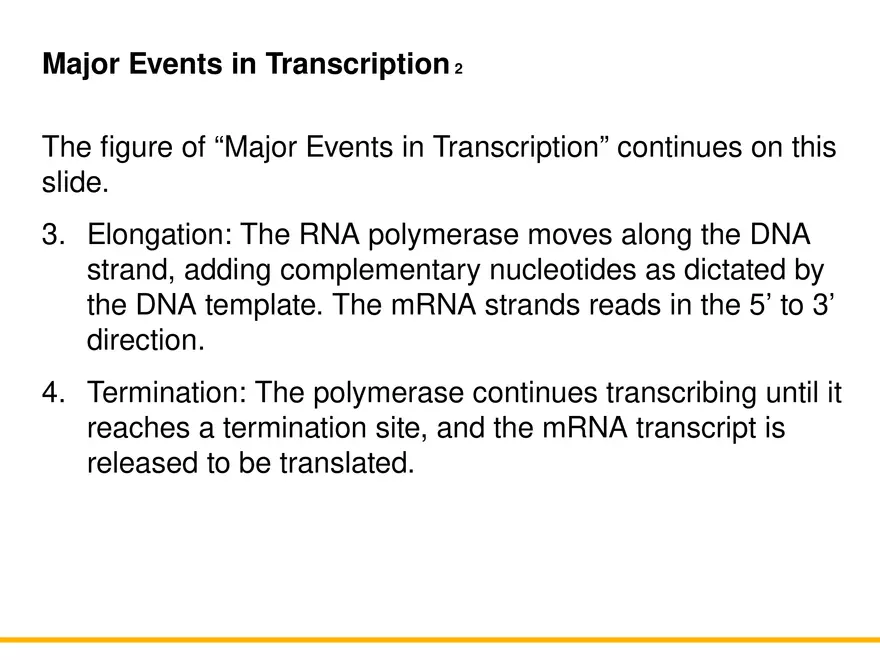 An Introduction to Microbial Genetics Lecture Part 5 - Page 8