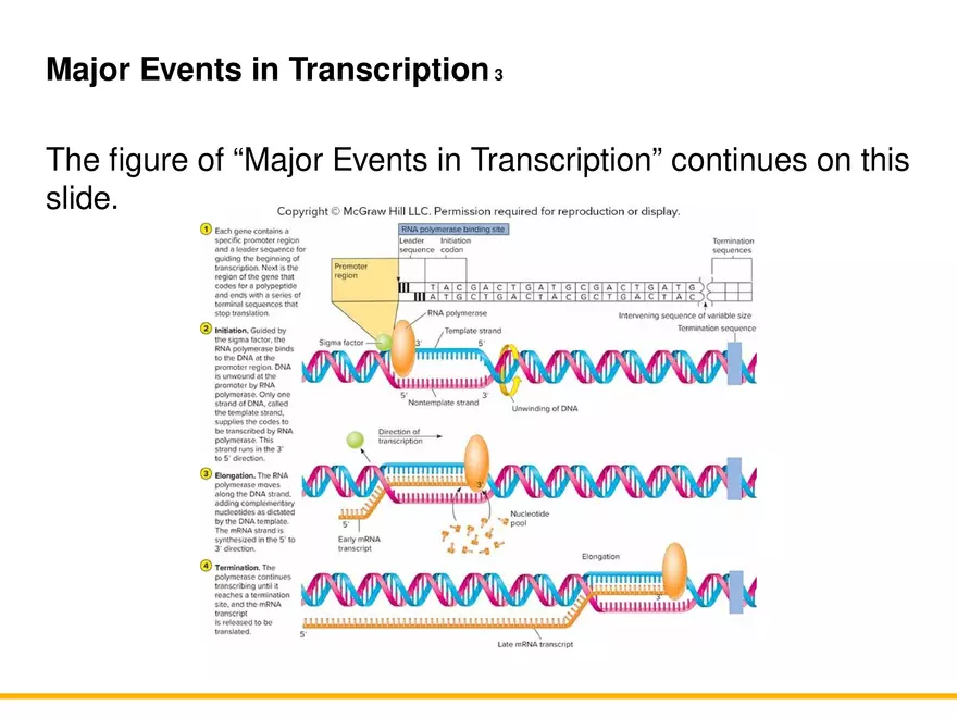 An Introduction to Microbial Genetics Lecture Part 5 - Page 9